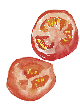 png水彩番茄矢量图png手绘水彩切好的蔬菜西红柿png西红柿切片手绘画