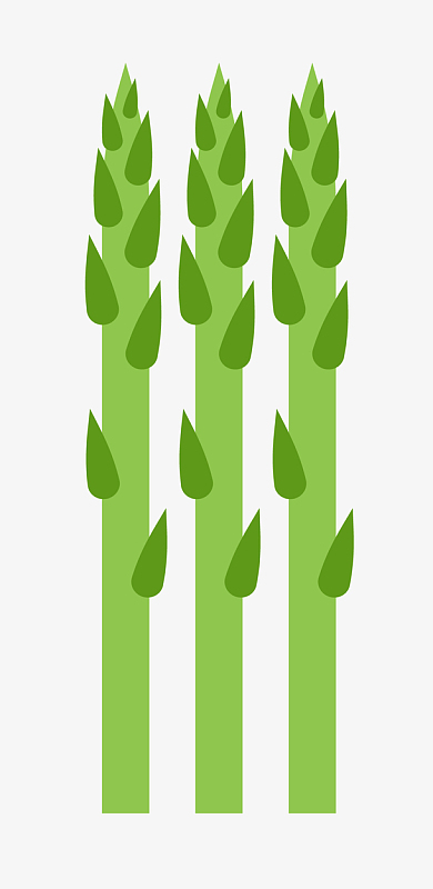 矢量竹笋