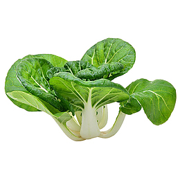 天然有机蔬菜奶白菜