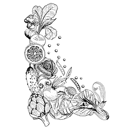 矢量扁平手绘蔬菜