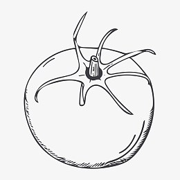 线描西红柿