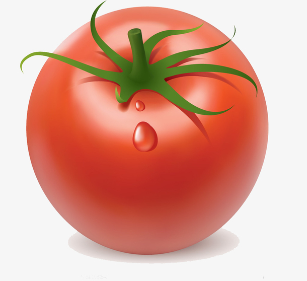 番茄素材免费下载_觅元素