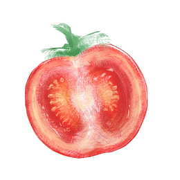 西红柿切片手绘画素材图片
