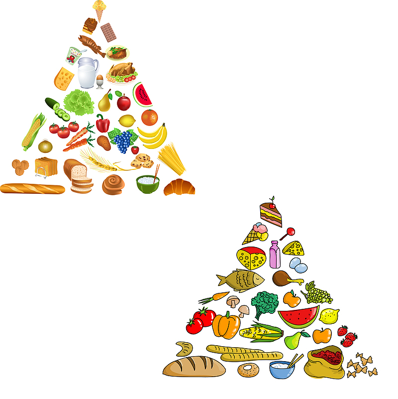 各种食物组成的金字塔