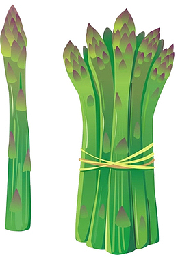 卡通手绘绿色蔬菜芦笋