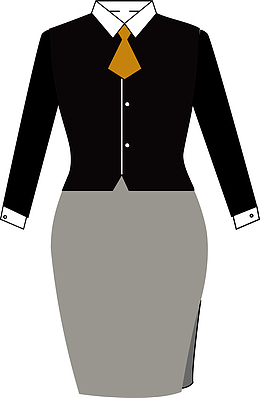 矢量女性裙装图