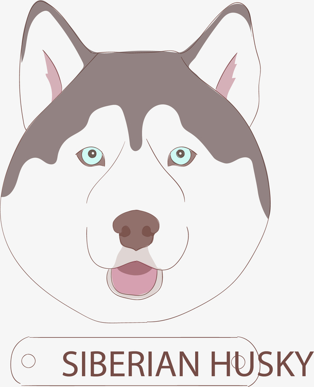 矢量图胖乎乎的二哈