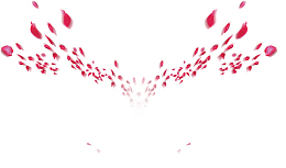 花瓣
