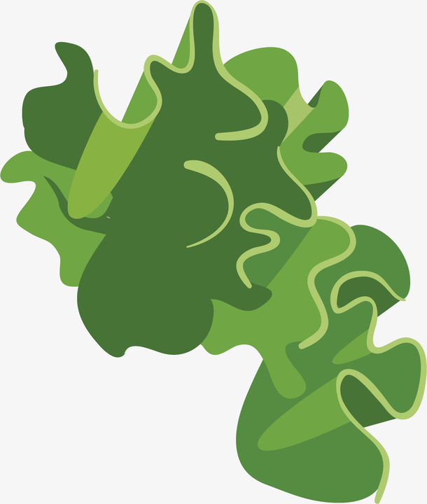 矢量图绿色的蔬菜