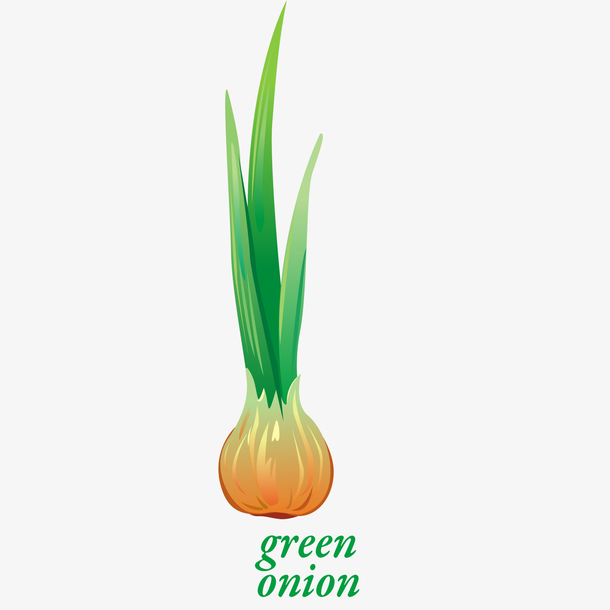 葱食材设计矢量图素材免费下载_觅元素