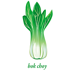 白菜蔬菜植物设计