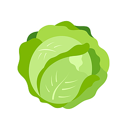 手绘卡通绿色卷心菜