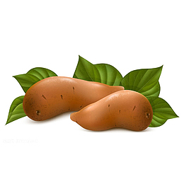 卡通红薯红薯叶健康饮食插画免抠
