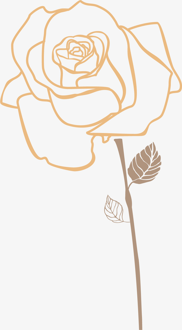 线稿玫瑰花