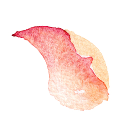高清免抠手绘水彩花瓣素材