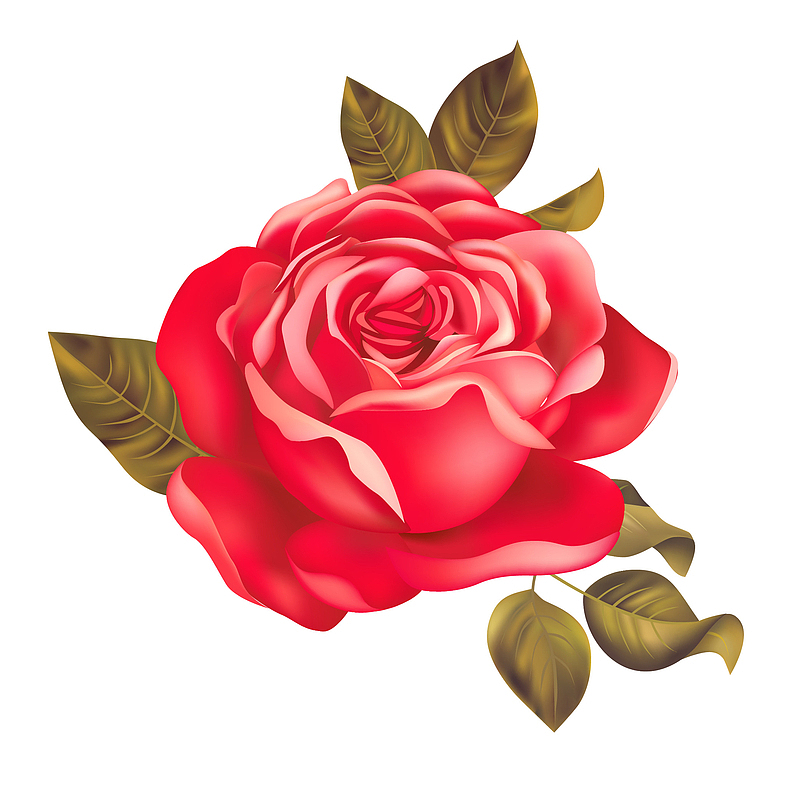 矢量手绘红色爱情玫瑰花