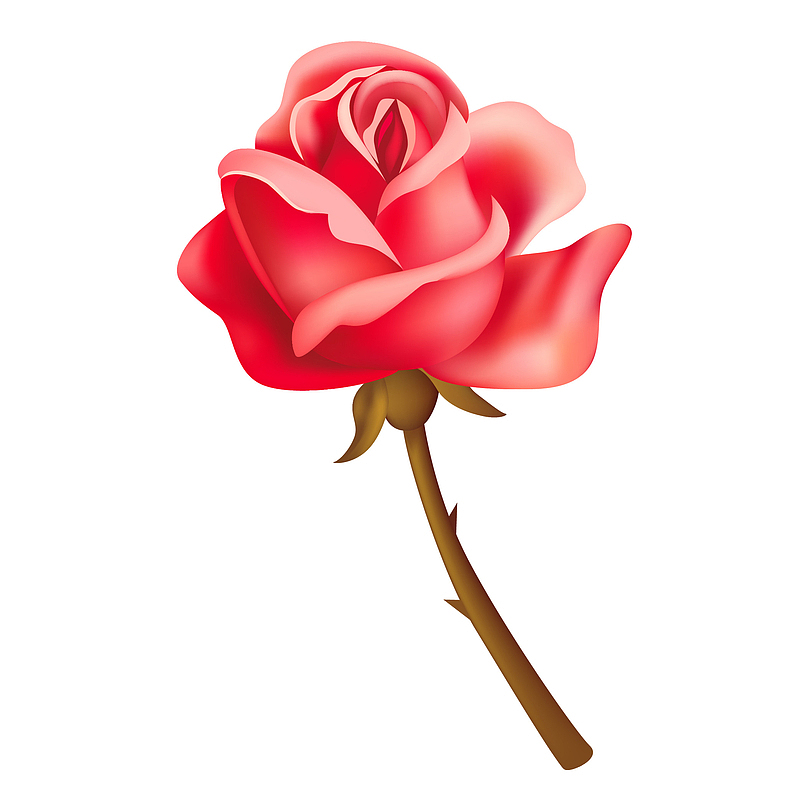 矢量手绘一枝红色玫瑰花