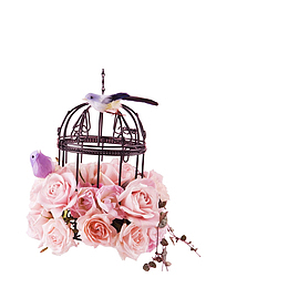 粉色玫瑰鸟笼免抠图