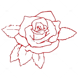 红色玫瑰花纹路设计