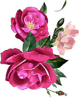 红色花朵装饰