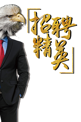 高清招聘精英下载