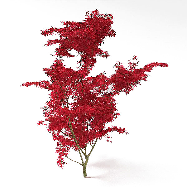 红色的游戏树