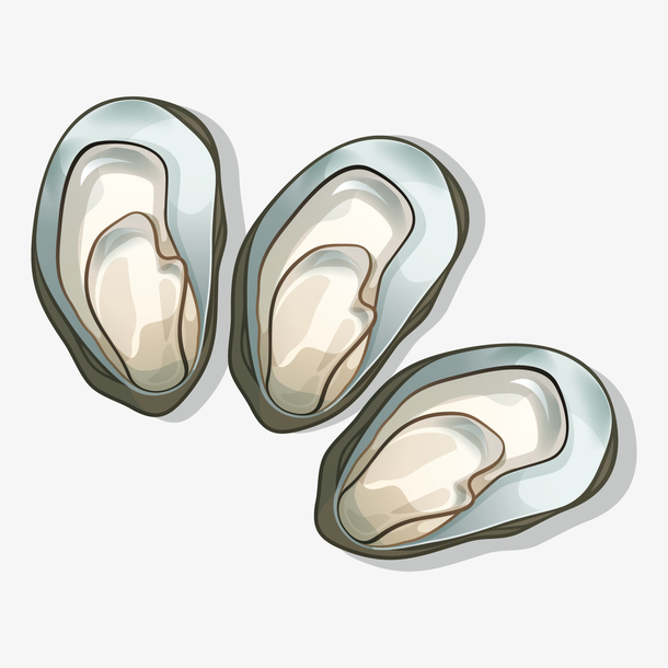 灰色手绘圆弧生蚝元素