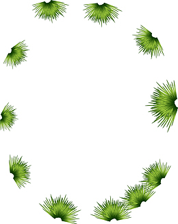 绿色植物框架
