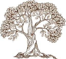 矢量图素描茂密大树