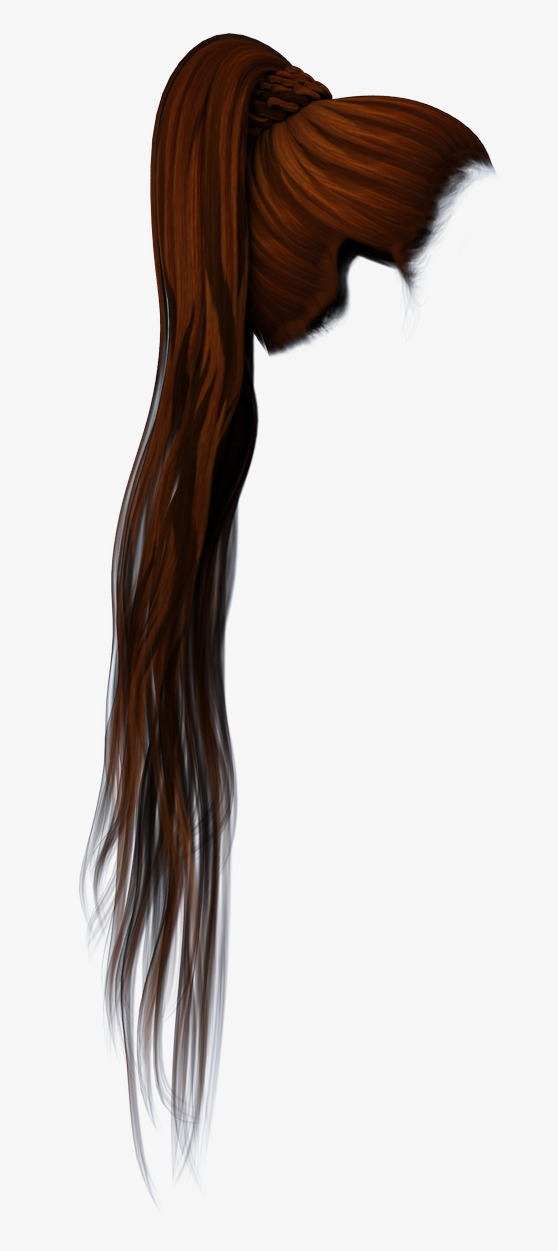 长发马尾辫模型设计免抠素材免费下载_觅元素51yuansu.com