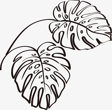 叶子简笔画素材_叶子简笔画图片元素-觅元素