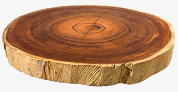 树的年轮免抠素材免费下载_觅元素51yuansu.com