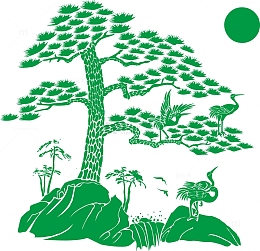 松树造型树
