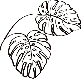 植物叶子纹理线描图