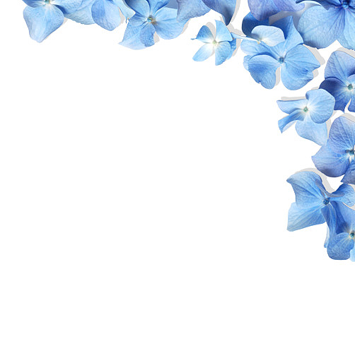 蓝色清新花朵边框纹理