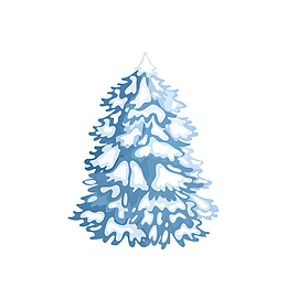 白色雪松