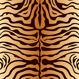 底纹 纹理 背景 动物纹理