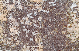 红褐色杂乱复古斑驳铁锈纹理