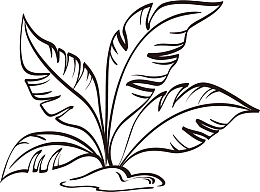 黑色矢量叶子线描图免抠png