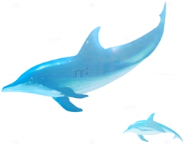 蓝鲸装饰素材图案