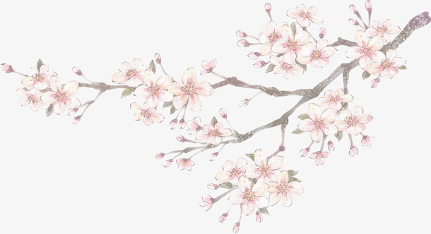 手绘古风花朵树枝免抠素材免费下载_觅元素51yuansu.com