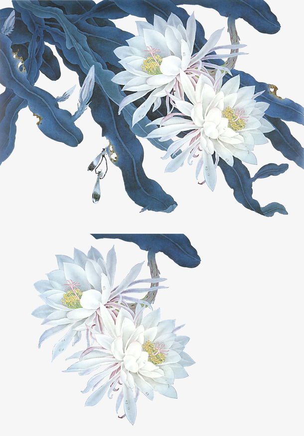 古风莲花素材免费下载_觅元素