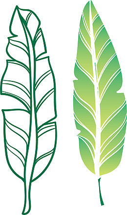 飘散的叶子环保叶子