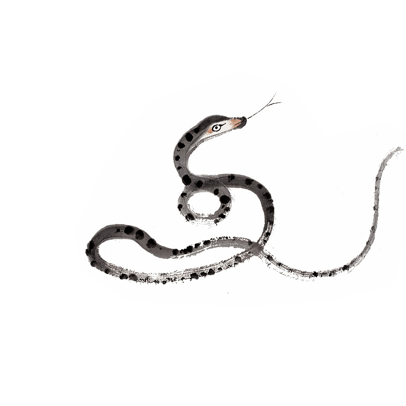 水墨中国风蛇