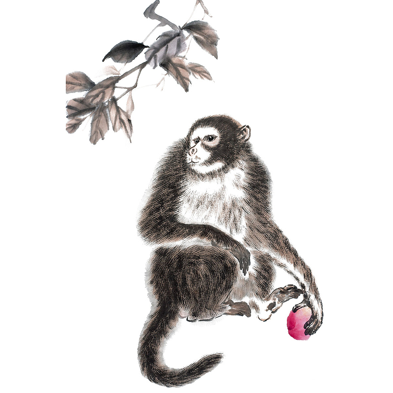 传统中国风水墨猴子拿水果免抠