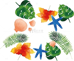 矢量水彩夏日植物叶子花朵