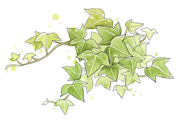 手绘绿色爬山虎