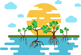 红树林植物插画矢量素材