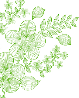 绿色线条花卉植物矢量图