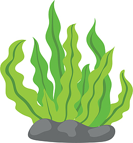 世界海洋日绿色海草